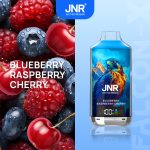 JNR Falcon X 18000 Vape – 50 Flavors & Smart Screen - Image 18