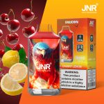 JNR Falcon 16000 Puffs Vape with 22ml E-Liquid (Ergonomic Pocket Design) - Image 27