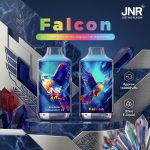 JNR Falcon 16000 Puffs Vape with 22ml E-Liquid (Ergonomic Pocket Design)